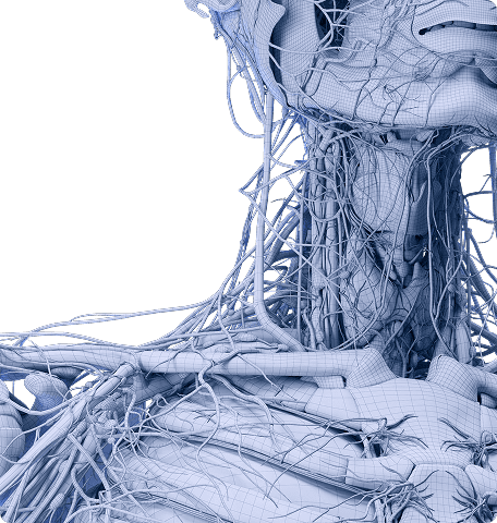 topology